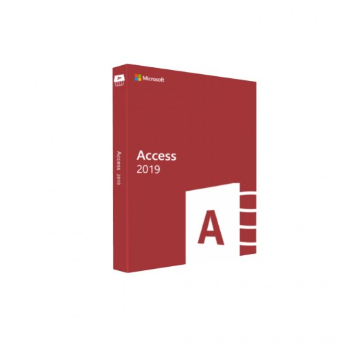 MICROSOFT ACCESS 2019 BOX-100